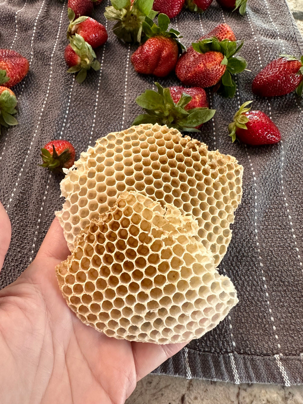 Beeswax lip balm